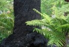 Blackstonesustainable-landscaping-15.jpg; ?>